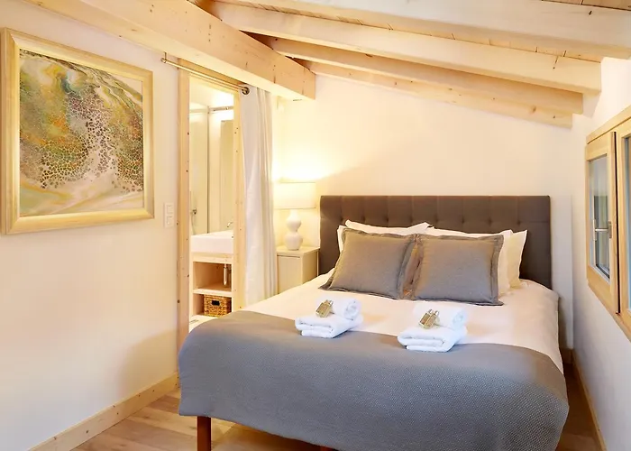 Marmotte Mountain Eco Chalet Chamonix
